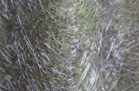 Mt Florida fibreglass roof work